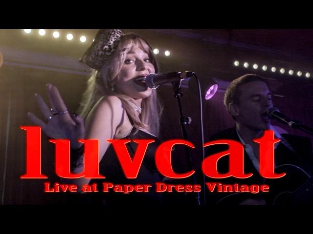 LUVCAT Live at Paper Dress Vintage