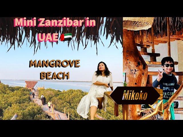 Mikoko | Mini Zanzibar in UAE  | Mangrove beach Umm Al Quwain