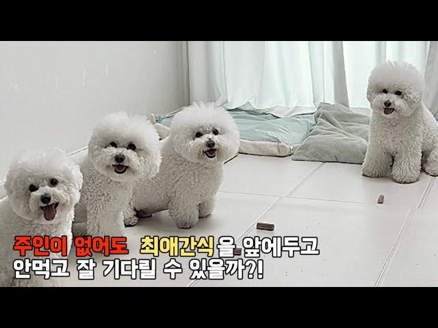 엄마가 먹지말고 기다리래