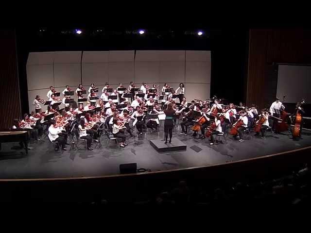 Pachelbel's Canon and Harry's Wondrous World - Massed Bel Canto at Strings Fest 2015