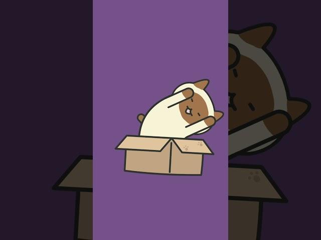 Sweet Teddy Bear Sliping Video Effect Video VFX
