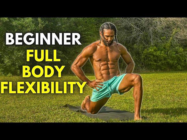 20 Min Beginner Full Body Flexibility Routine (Follow Along)