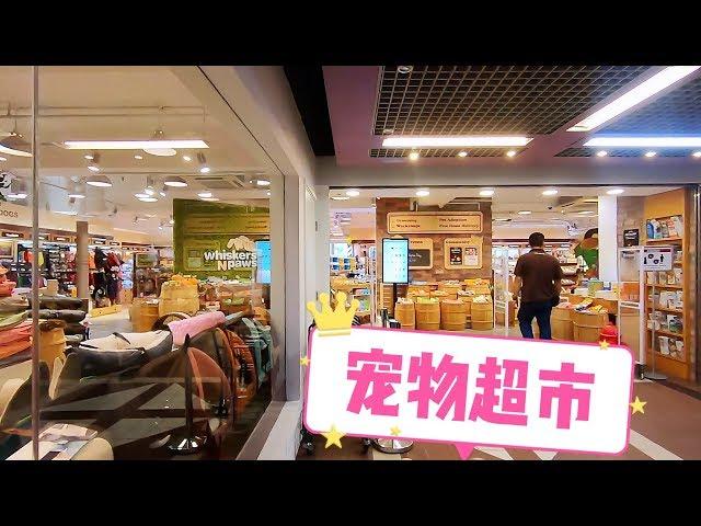 带你去逛香港最大的宠物超市/Whiskers n paws