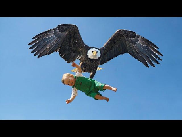 Watch Out: These 10 Massive Birds Could Pose a Risk to Children