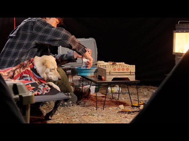 [Solo Camping with Dog] Warm Fire, Furry Friend: A Cozy Night Camping in the Forest