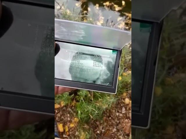 5 ка ахд, видео от пользователя, летний пруд