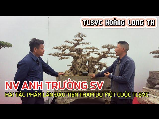 Quảng Tùng| Chia sẻ Quý vị hai tác phẩm lần đầu tiên xuất hiện tại TL CỦA ANH TRƯỜNG SINH VIÊN