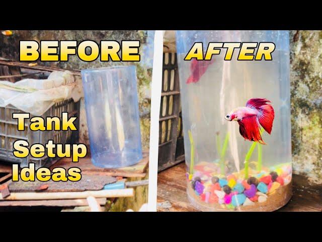 Betta fish Tank Setup ideas || Aquarium Setup ideas | Tank Setup Video