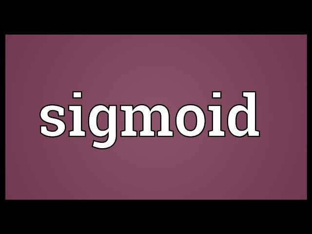 Sigmoid Meaning