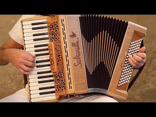 Italian Music TARANTELLA NAPOLETANA accordion Fisarmonica Akkordeonmusik Acordeon The Godfather