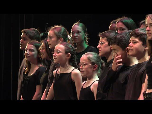 "La tristitude" - Oldelaf par la chorale REVERDY (Sablé-sur-Sarthe - Marc Leroy)