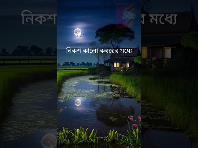 কবরের জীবন #আবু_ত্বহা_মুহাম্মদ_আদনান #কবর #ইসলামিক_ভিডিও #ভাইরাল