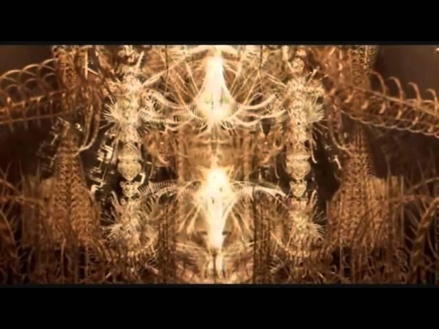 DMT trip (mix of Blueberry and Animatrix scenes)