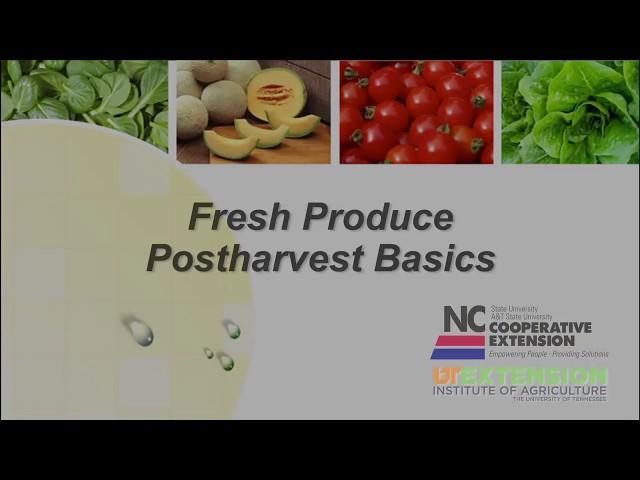 Postharvest Basics for Produce