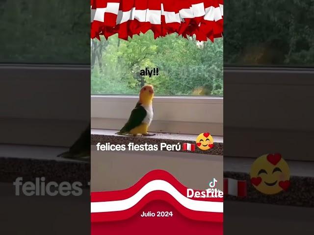 24 de julio de 2024