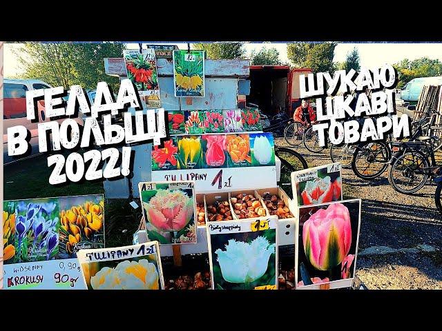 ГЕЛДА В ЛЮБІНІ. БАРАХОЛКА В ПОЛЬЩІ 2022! ЩУКАЮ ЦІКАВІ РЕЧІ НА ПОЛЬСЬКОМУ РИНКУ.