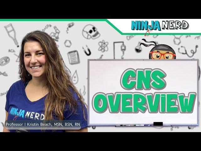 Brain | Central Nervous System (CNS) Overview