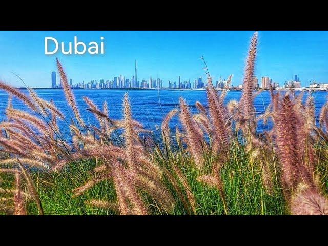 Dubai Creek | Old Dubai | Travel | United Arab Emirates | I Love Dubai Dosti