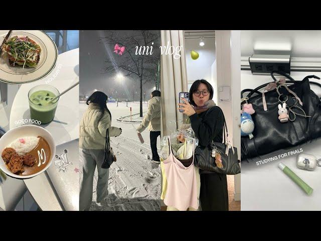 UNI VLOG 🫒 Snowy days during a dental student’s final exams season