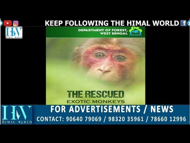 West Bengal Zoo Authority releases video on four rescued exotic monkeys.