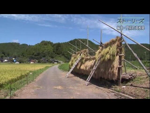 地震と豪雨でかつてない危機…田んぼと共に生きてきた輪島市門前町の小さな集落 爪痕に「希望は見えない」 (2024年10月14日)