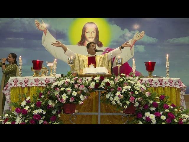 ಆರ್ಗಾಂ ಬಲಿದಾನ್ Holy Eucharist (28.12.2024): Rev. Fr. Jerry Sequeira