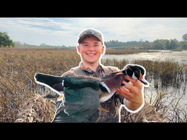 Duck Hunting Opener Iowa 2021: Public Marsh with lots of Ducks!