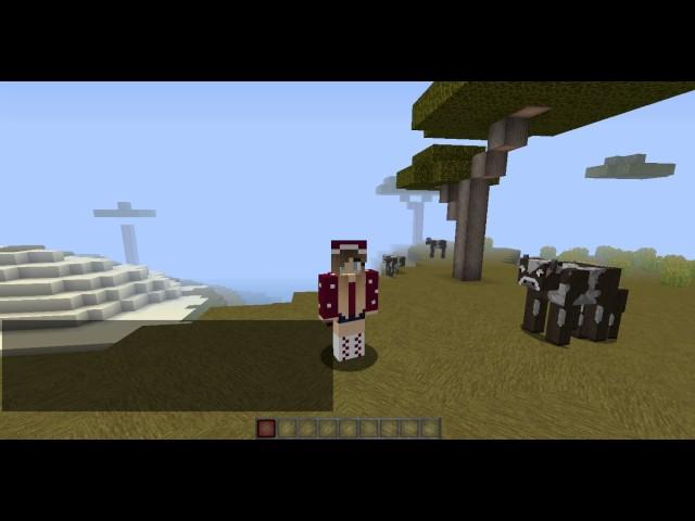 Minecraft HCF CORE LEAKED!