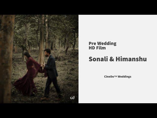 Pre Wedding - Film - Sonali & Himanshu - CineDo Weddings