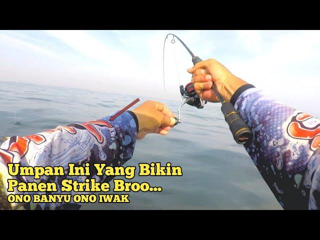 Mancing Bersama Sensasi strike Auto Panen Strike Sampai Tangan Pegel