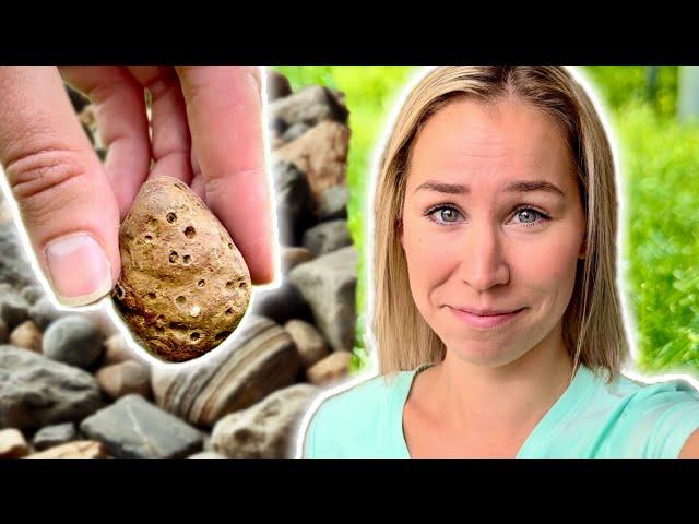 I Cut Open MORE Random Rocks to See What's Inside