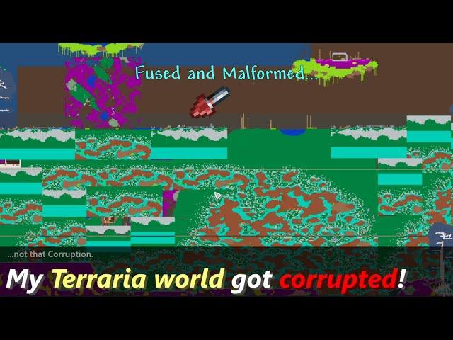 This could happen if your Terraria world gets corrupted ─ Chunk Error world in Terraria!?