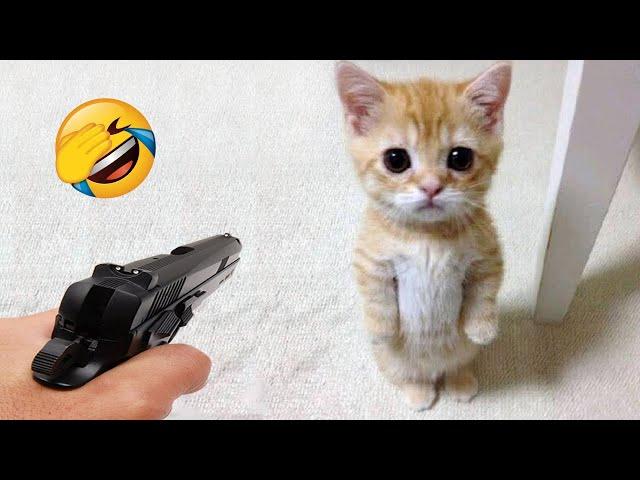 New Funny Animals 2024  Funniest Cats and Dogs Videos  Part 1