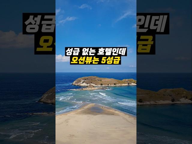 오션뷰 만큼은 5성급 호텔 뺨 때리는 곳