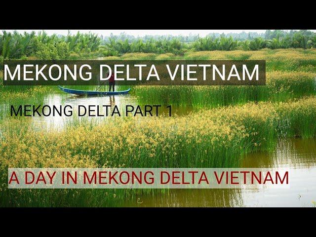 Vietnam part 5 | Mekong delta part 1 with English subtitles | Mekong delta Malayalam vlog |