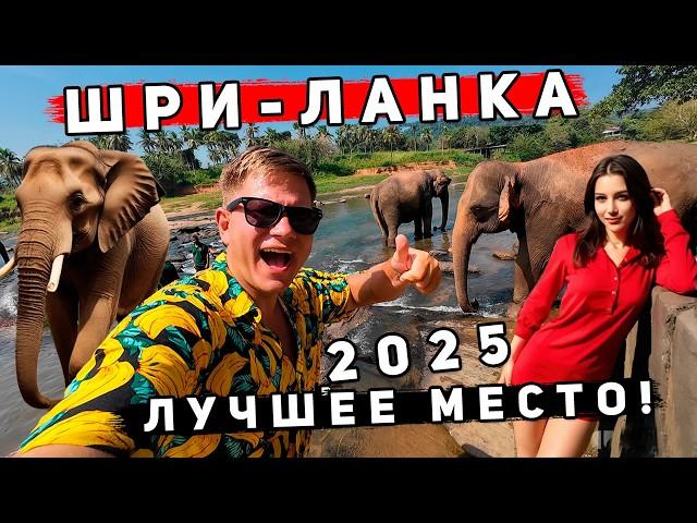 Шри-Ланка 2025 КРУЧЕ Таиланда? ИДЕАЛЬНЫЙ ОТДЫХ: Унаватуна и Пиннавела - СЛОНЫ, пляжи, ЦЕНЫ, отель!