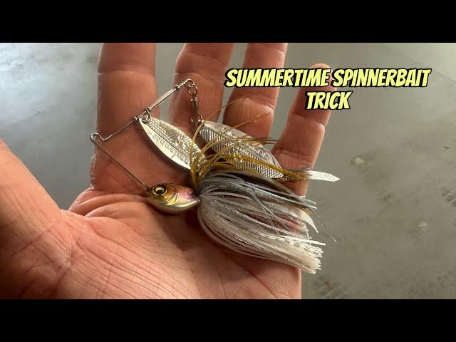 Catch Loads Of Bass This Summer Using THIS Spinnerbait Trick…