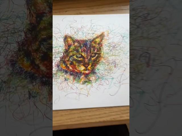 Cat Scribble Drawing! #cat #catart #catartwork #catartist #catdrawing #scribbledrawing #scribble_art