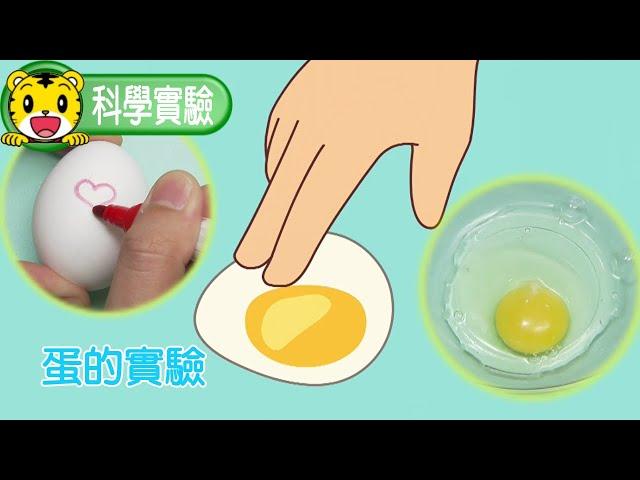 巧連智【科學小實驗】蛋的實驗 #科學 #實驗 #育兒 #親子生活 #動畫 #卡通