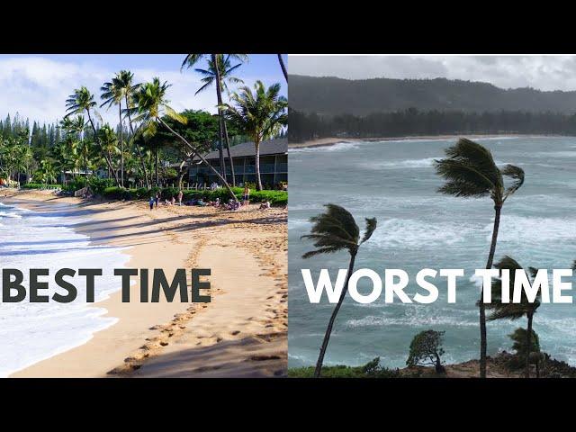 The Best Time to Visit Hawaii | Best Weather, Smallest Crowds, and Best Prices are in this Month