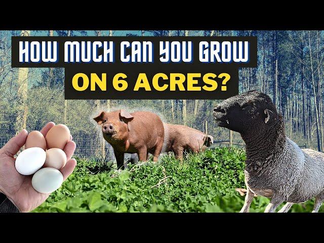 How to Plan a 6-Acre Homestead For Maximum Production