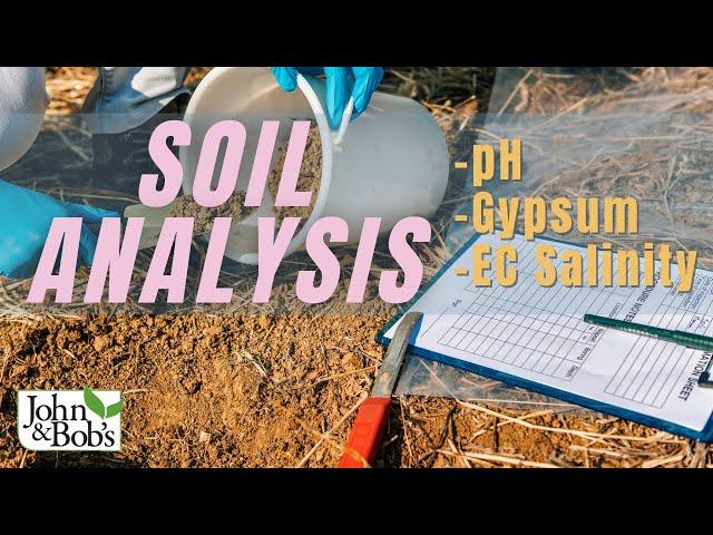 Soil Analysis Report Interpretation: pH, Salinity, Gypsum