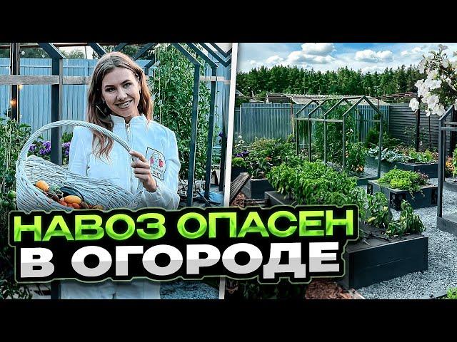 ЗАБУДЬТЕ ПРО НАВОЗ! ОГОРОД МОЕЙ МЕЧТЫ | Высокие урожайные грядки своими руками | Как облегчить труд