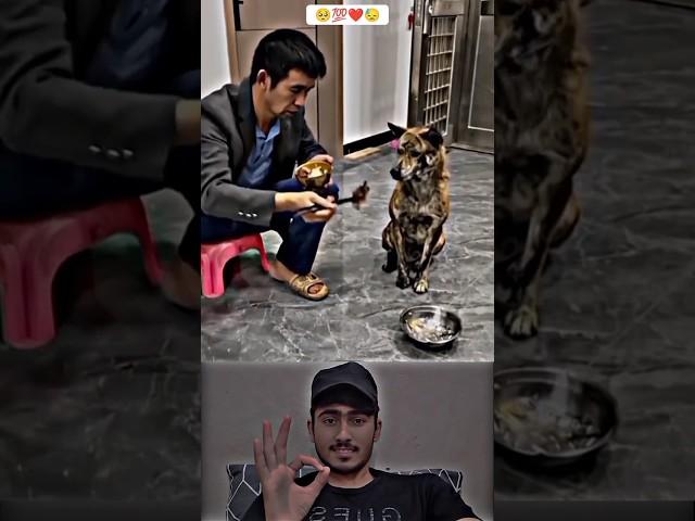 Sunwin | Link tải sunwin Respect animals ️#Ep_03