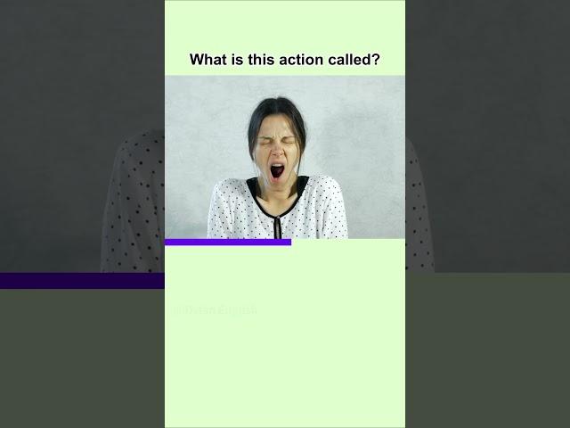 Learn English Everyday