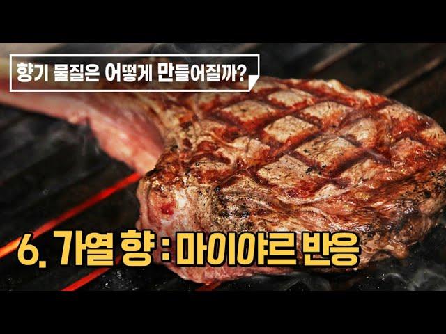 최낙언TV_향의 언어_6. 가열 향 : 마이야르 반응