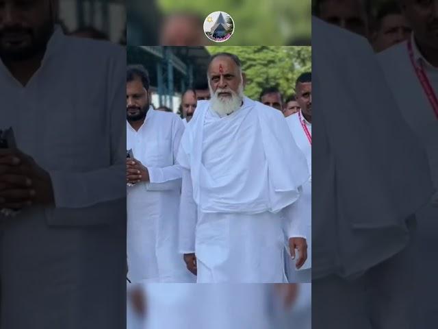 Radha Swami Darsan  #love #radhswami #darsan #god #babaji #rssb #rssd #radhasoami #shorts