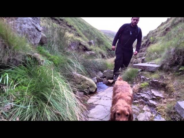 Dan and Alfie go Scrambling!