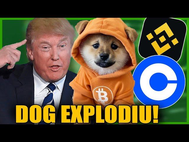  URGENTE! DOG GO TO THE MOON EXPLOSÃO! LISTAGEM BINANCE e COINBASE! NOTICIA CRIPTOMOEDA MEME RUNES