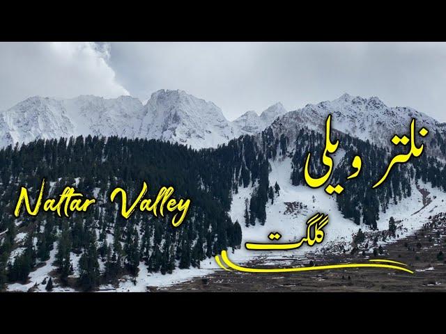 The Beautiful Naltar Valley Gilgit Baltistan Pakistan